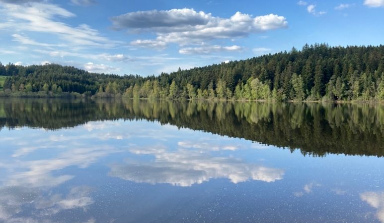 Projection : « Odyssée mare » »