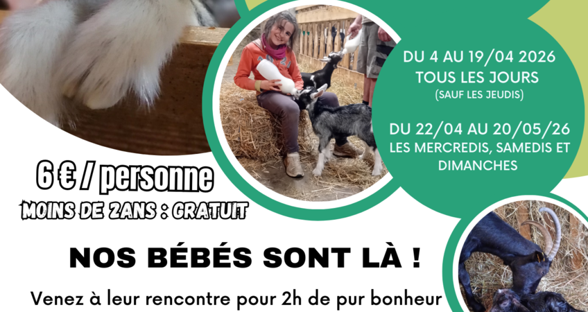 Un printemps à la Ferme des Pommeaux Blancs