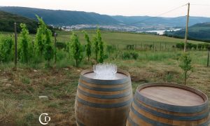 Apéro sunset dans les vignes (Domaine Duclot)_Sarras