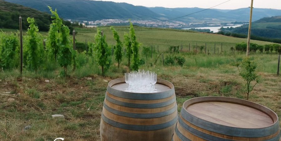Apéro sunset dans les vignes (Domaine Duclot)