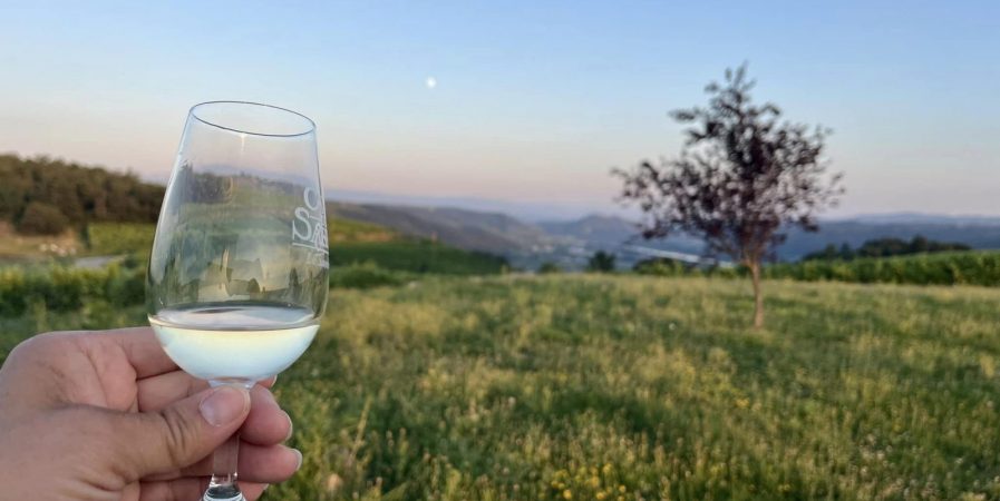 Apéro sunset dans les vignes (Domaine L. Bertrand)