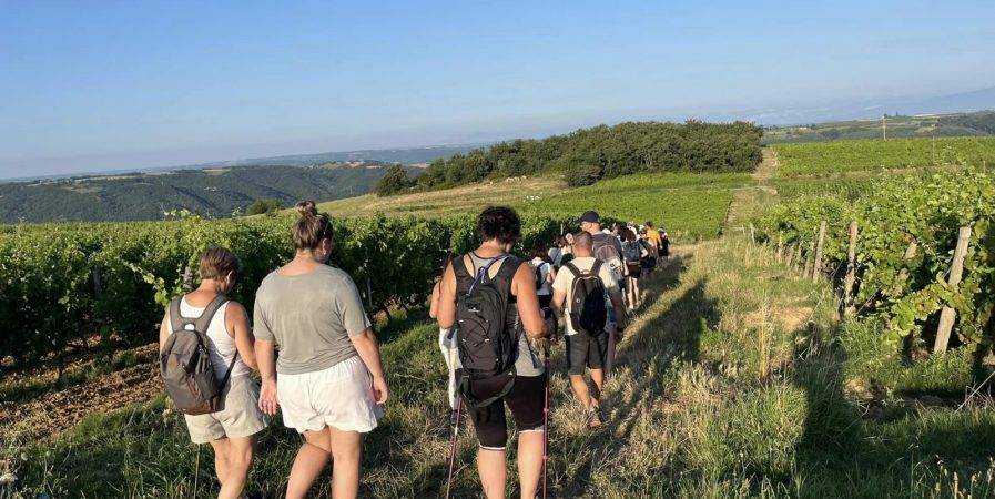 Rando wine (domaine L. Bertrand)