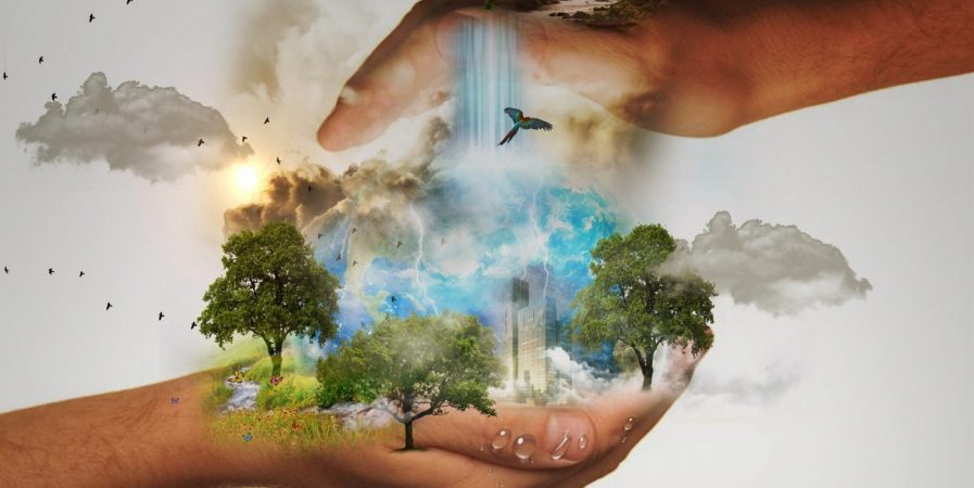 Journée nature et botanique