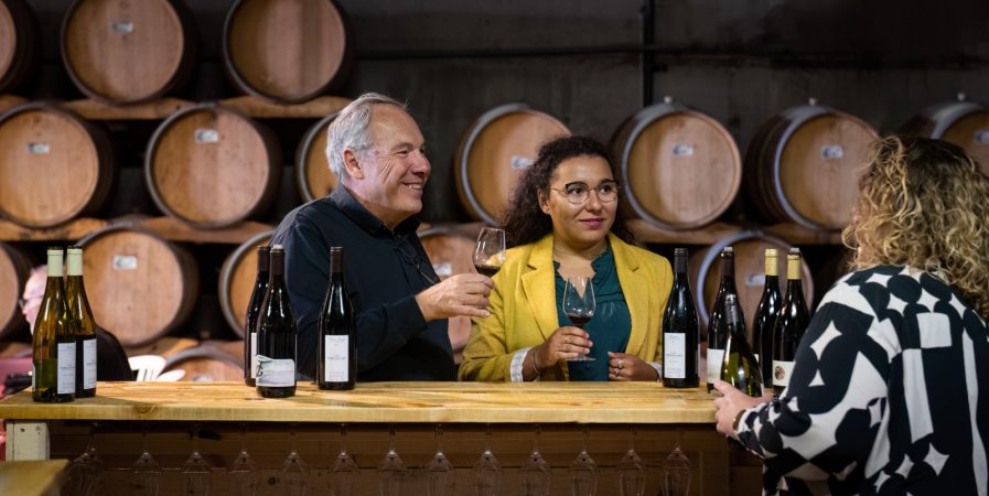 Culture et Vin au Domaine de Pimotin