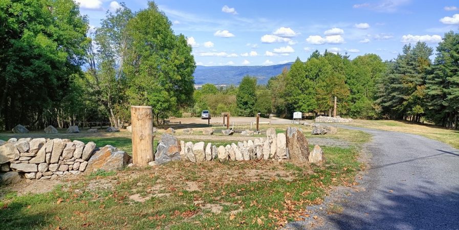 « Des arbres à croquer »