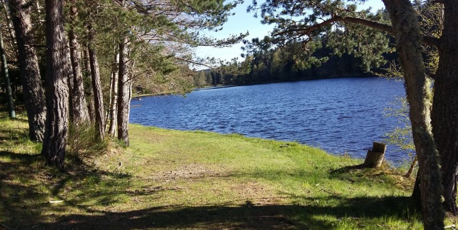 « Goûter le paysage »