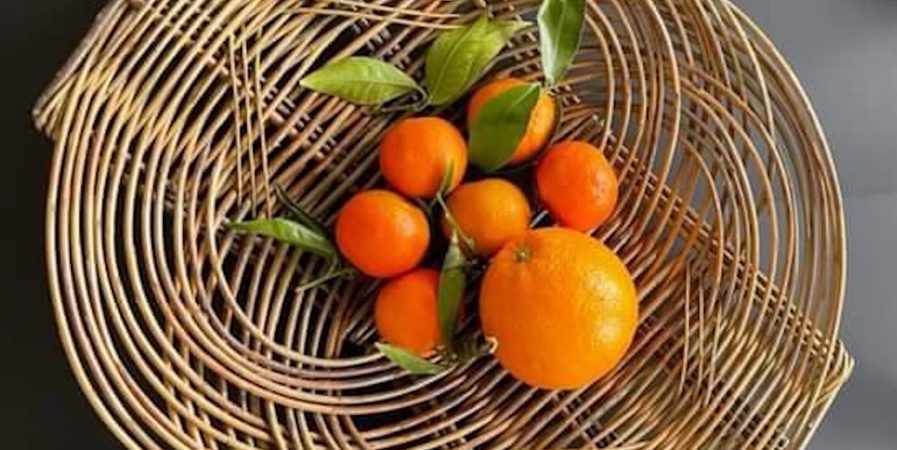 Atelier Vannerie – Tressez une corbeille et un plateau en osier