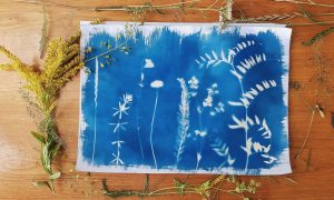 Atelier cyanotype au Domaine de Varagnes_Annonay