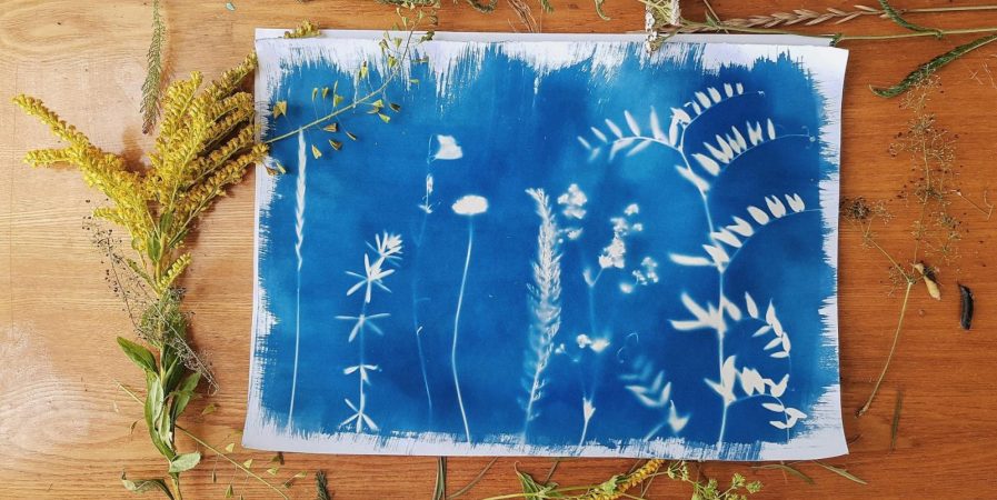 Atelier cyanotype au Domaine de Varagnes