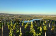 Apéro sunset dans les vignes – Domaines d&rsquo;Aniello et Vallet_Félines