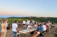 Apéro sunset dans les vignes – Domaines d&rsquo;Aniello et Vallet_Félines