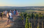Apéro sunset dans les vignes – Domaines d&rsquo;Aniello et Vallet_Félines