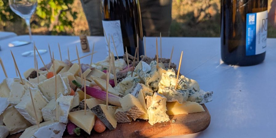 Sunset dans les vignes – Domaines d&rsquo;Aniello et Vallet