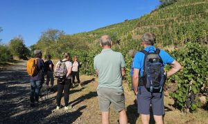 Rando Wine au Domaine François Grenier_Champagne