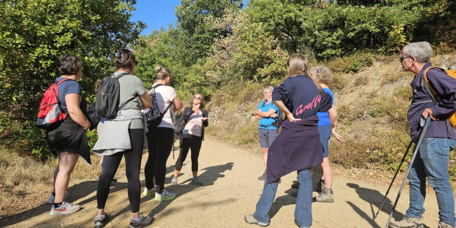 Rando Wine au Domaine Vallet