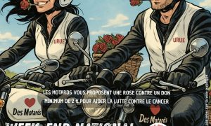 une rose un espoir.jpg