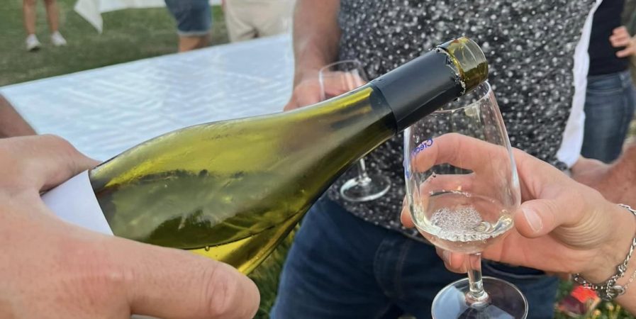 Apéro-vigne au Domaine Brenier