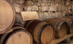Visite du Domaine Duclot