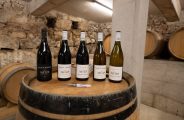 Domaine Duclot