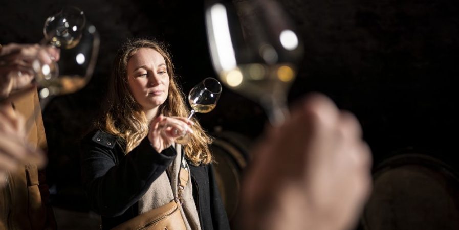 Culture et Vins au Domaine De Boisseyt