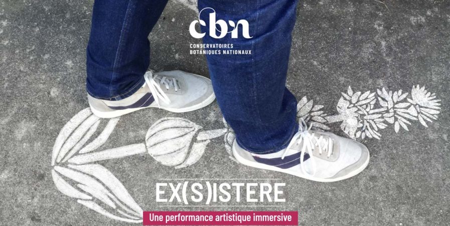 Exposition : Ex(s)istere, une ode au végétal sauvage