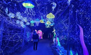 6ème Festival Lumières Sauvages_Peaugres