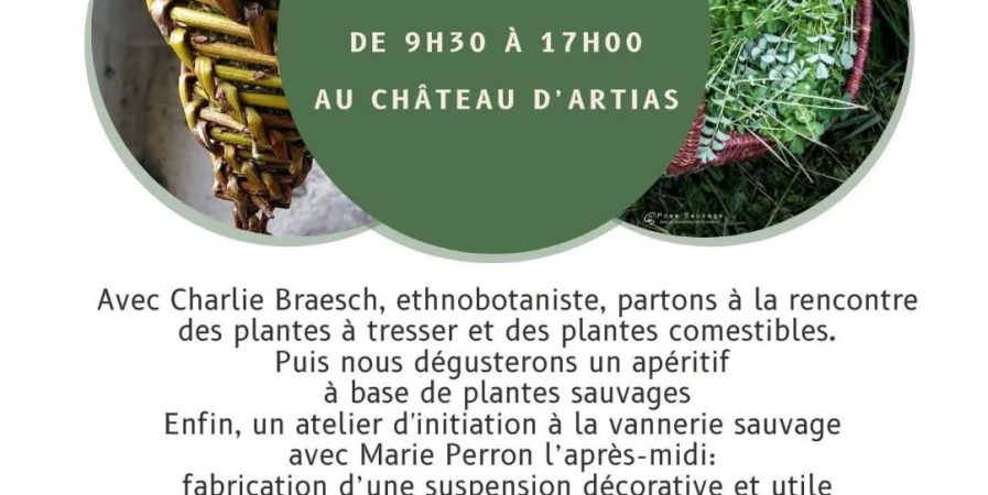 Plantes sauvages et vannerie