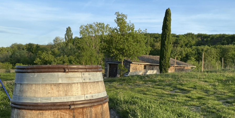 Culture et Vin au Domaine Clusel-Roch