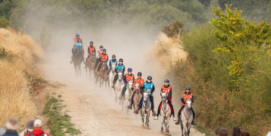 Le Raid des Pèlerins : concours international d&rsquo;endurance équestre