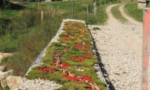 journées Européennes du Patrimoine:  Clavas: Un trésor du patrimoine : land art à Clavas_Riotord
