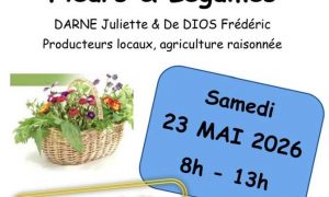 vente de plants fleurs et légumes st julien du pinet.jpg