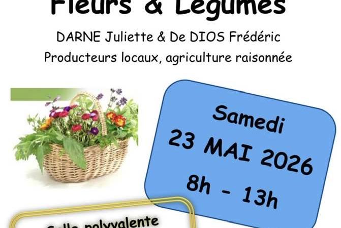 Vente de plants fleurs et légumes