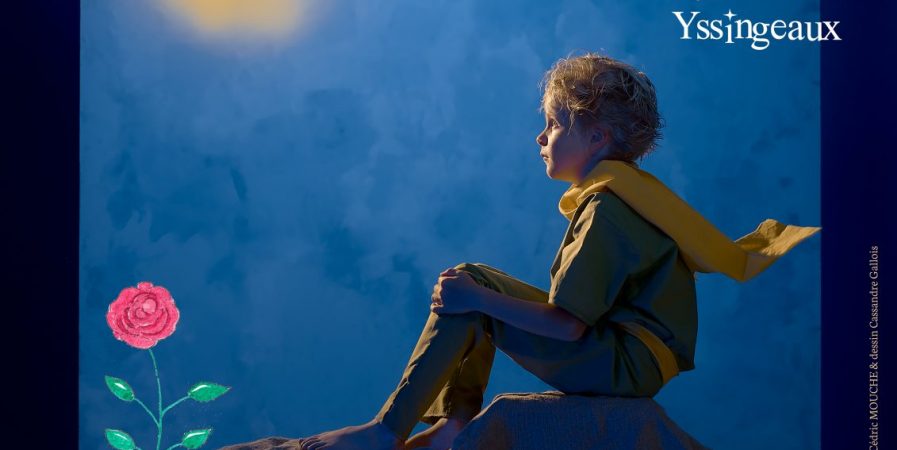 Gala de Danse Le Petit Prince