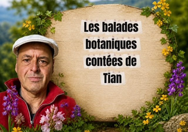 Balade botanique contée à La Chaise-Dieu