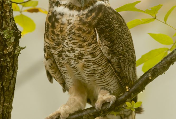 Balade crépusculaire dans la Vallée de l&rsquo;Arzon