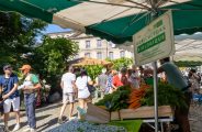 Marché hebdomadaire du Puy-en-Velay_Le Puy-en-Velay