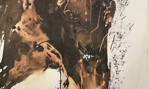 Les ânes de Claire 1