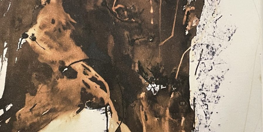 Anomanie/Anomania œuvres sur papier de Claire DUMONTEIL
