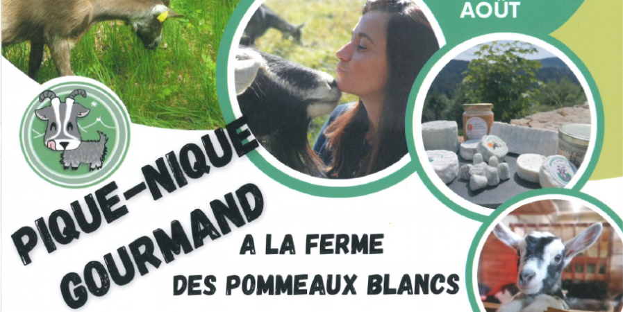 Pique-nique Gourmand Fermier à la Ferme des Pommeaux Blancs