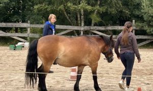 atelier de médiation équine enfants : au coeur de la relation_Raucoules