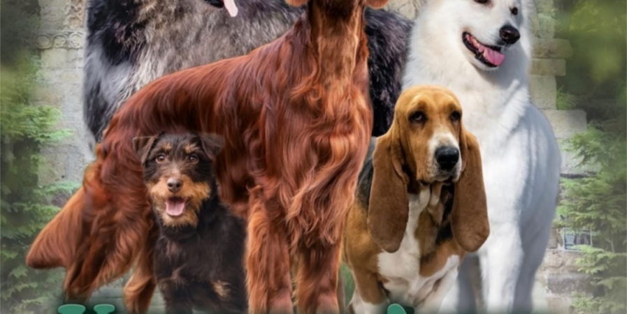 Exposition Canine Nationale de Haute-Loire