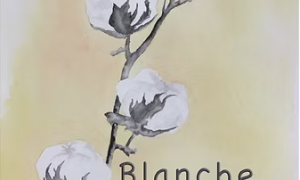 Spectacle Blanche Coton,_Dunières