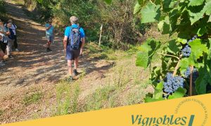 Rando wine au Domaine Grenier_Champagne