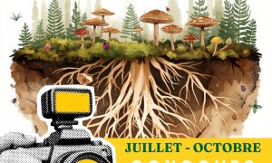 Concours photos « Champignons dessus / dessous » – Lire en Fête 2026_Yssingeaux