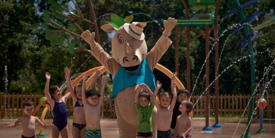 Safari Splash