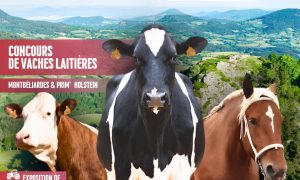 Comice Agricole des jeunes agriculteurs d&rsquo;Yssingeaux_Yssingeaux