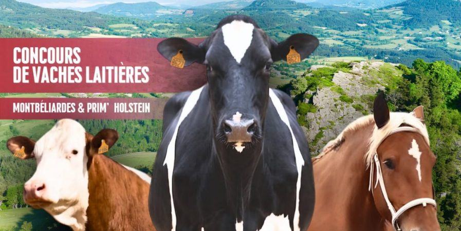 Comice Agricole des jeunes agriculteurs d&rsquo;Yssingeaux