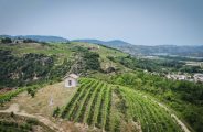 Brunch Vigneron au Domaine Anthony Paret_Saint-Pierre-de-Boeuf