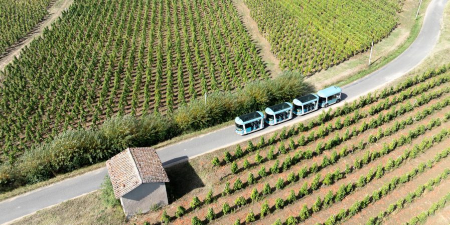 Côte-Rôtie Tour (spécial Journées européennes du patrimoine)