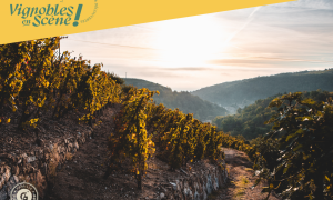 Rando Wine au Domaine Gaillard_Malleval